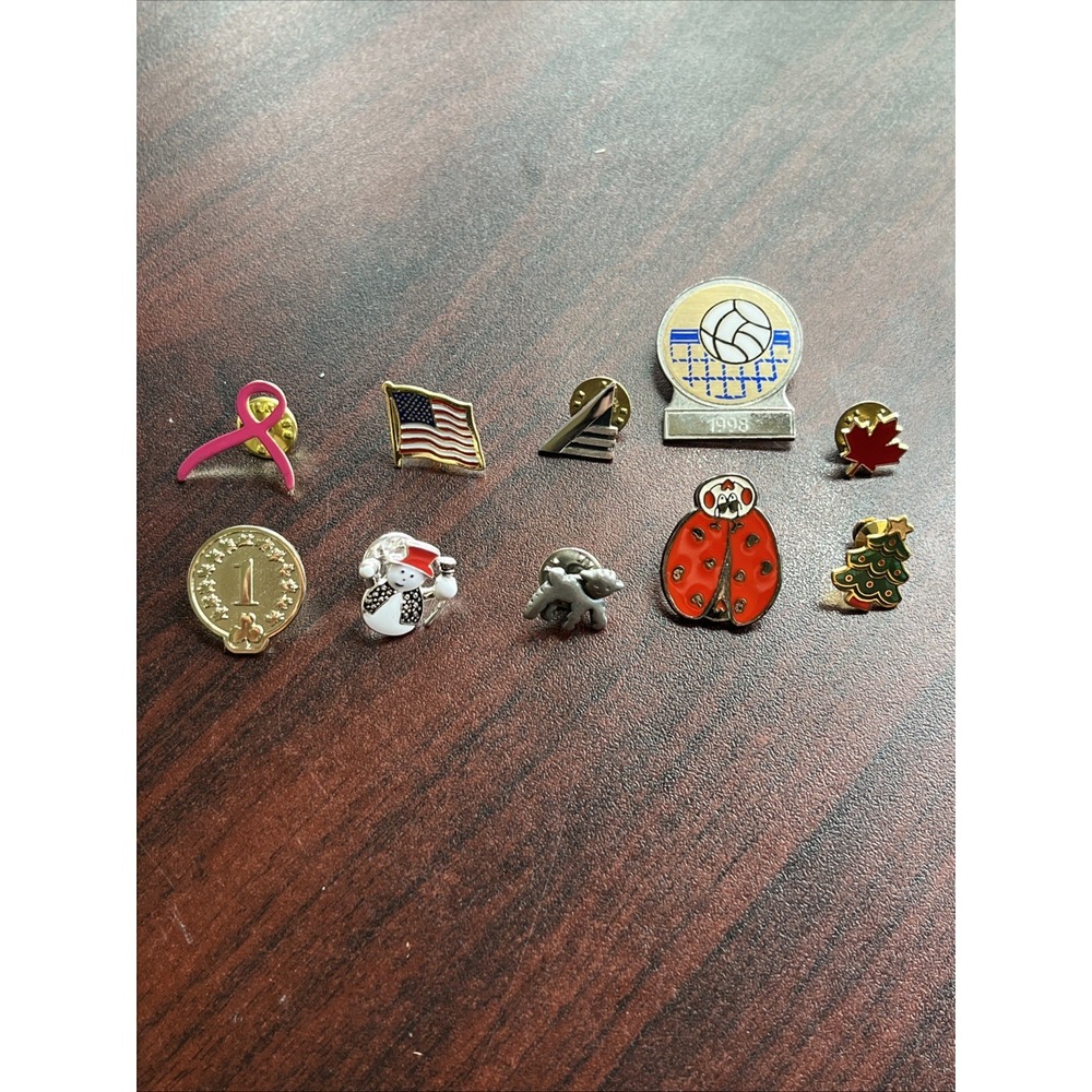 Lot Of 10 Random Mixed Lapel Hat Pins A3
